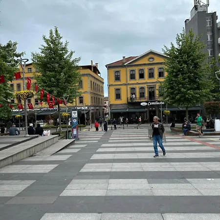 Meydanin Goebeginde Kiralik